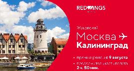 Red Wings запускает прямые рейсы из Жуковского в Калининград